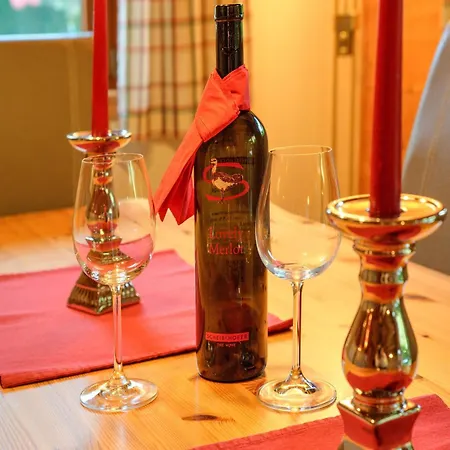펜션 Wildschoenau With Private Garden, Cleaning Included *