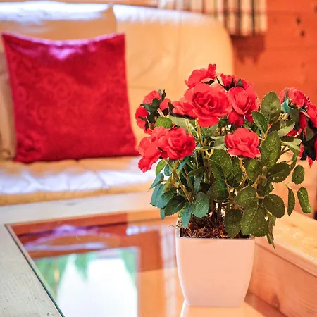 펜션 Wildschoenau With Private Garden, Cleaning Included